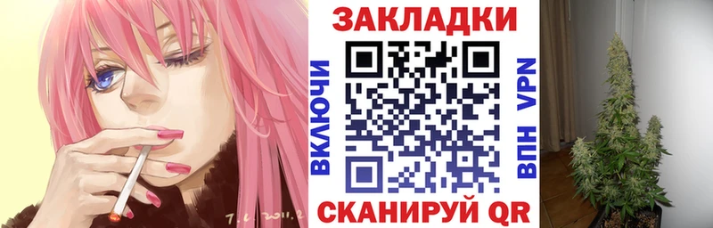 Сколько стоит Анива KRAKEN ссылка  МЕФ  ГАШИШ  Канабис  A PVP 