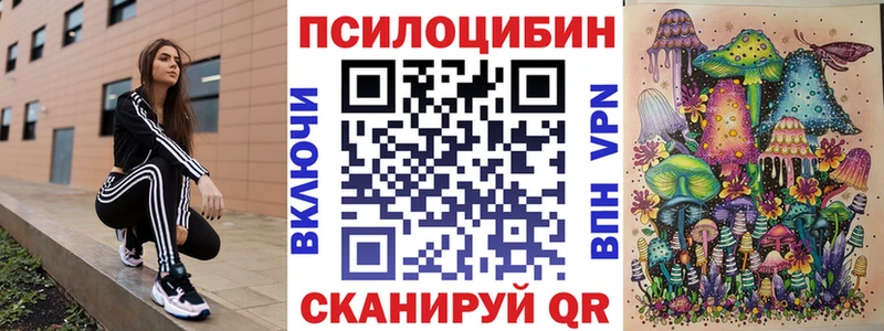 где можно купить наркотик  hydra   Псилоцибиновые грибы прущие грибы  Анива 